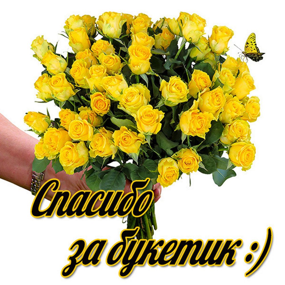 Поздравляем победителей конкурса