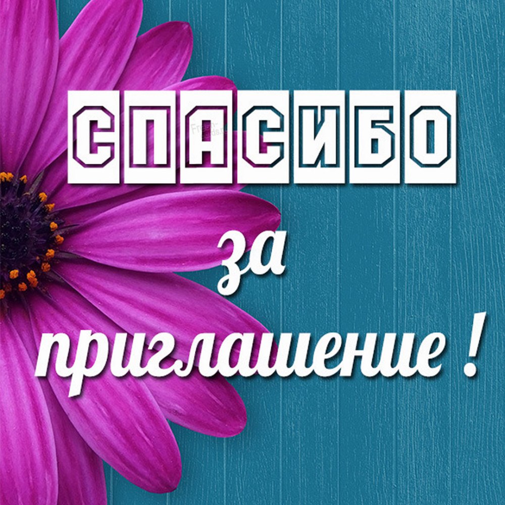 Большое спасибо ребята за цветы