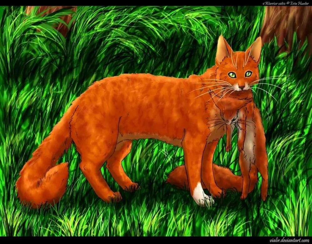 Ashfur коты Воители арт