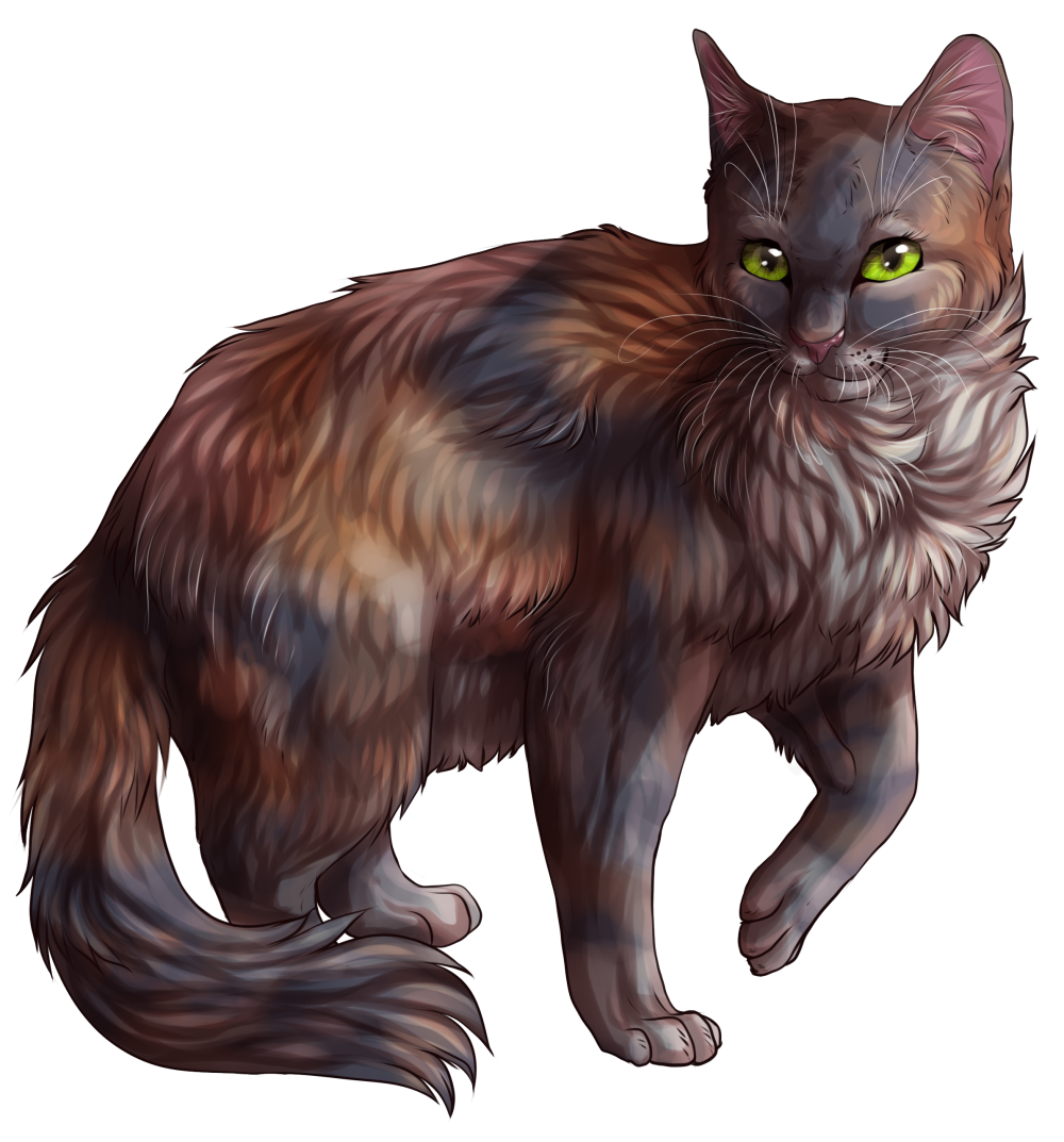 Tawnypelt коты Воители