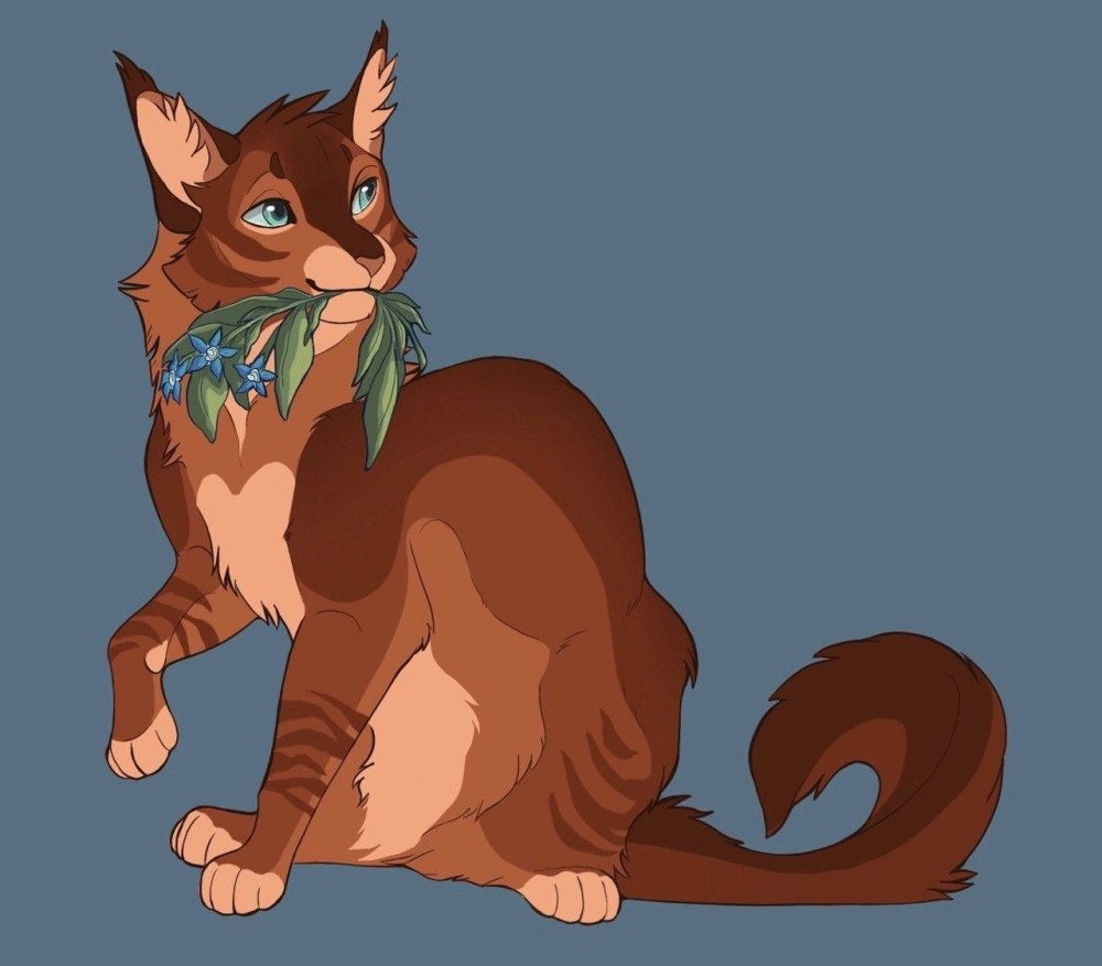 Warrior Cats Mothwing Design
