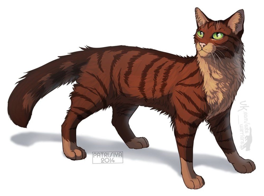 Коты Воители матолинка