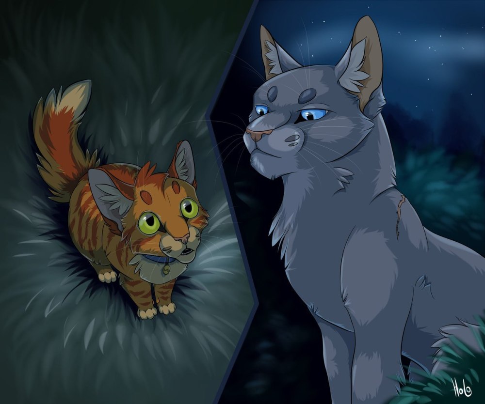 Коты Воители LEXISSKETCHES