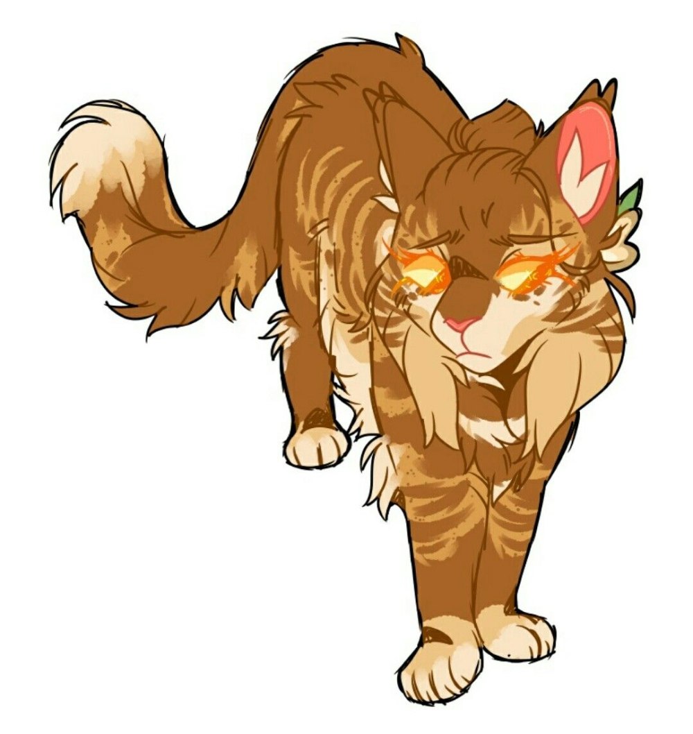 Коты Воители Тигрозвезд