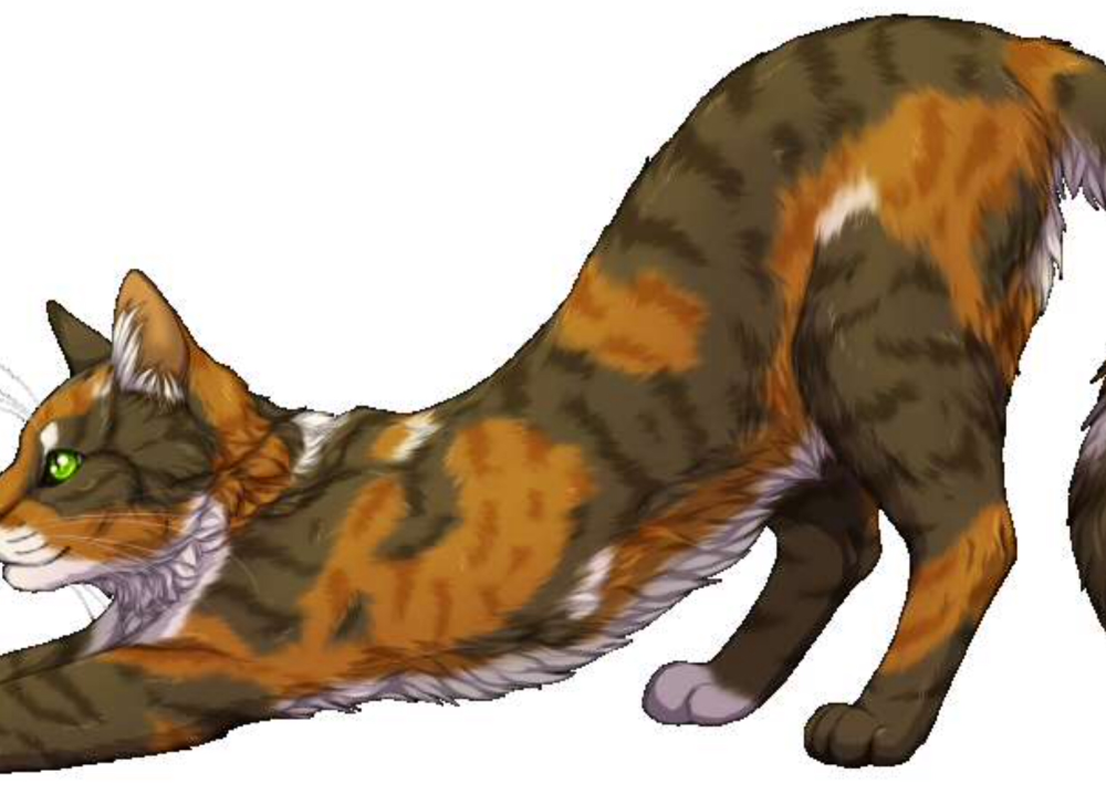 Коты Воители Warriors Cats