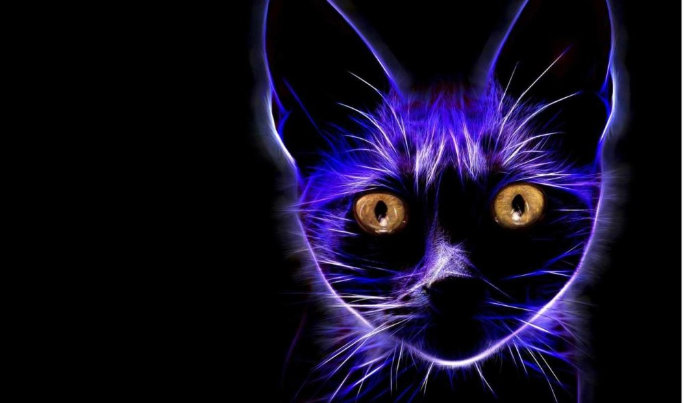 Неоновая кошка