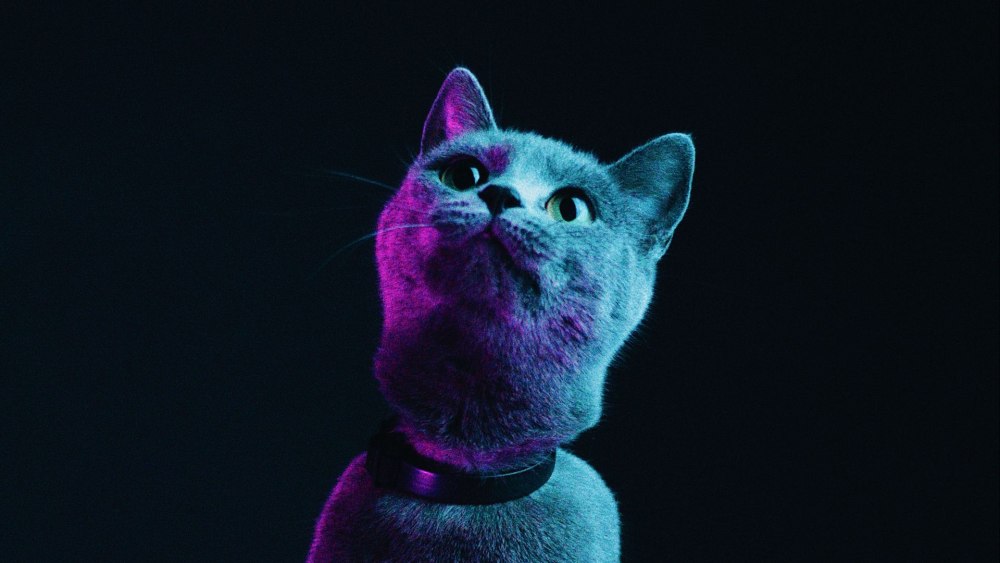 Неоновая кошечка