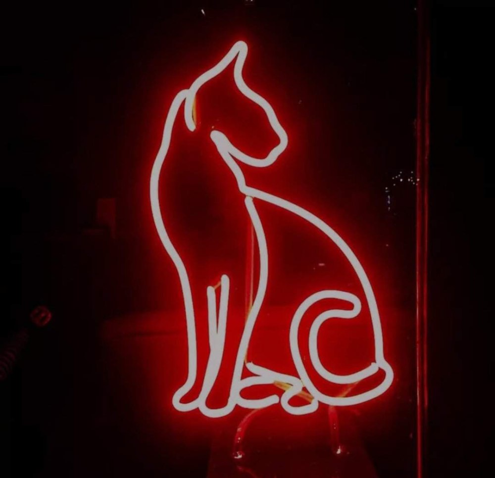 Кислотные коты