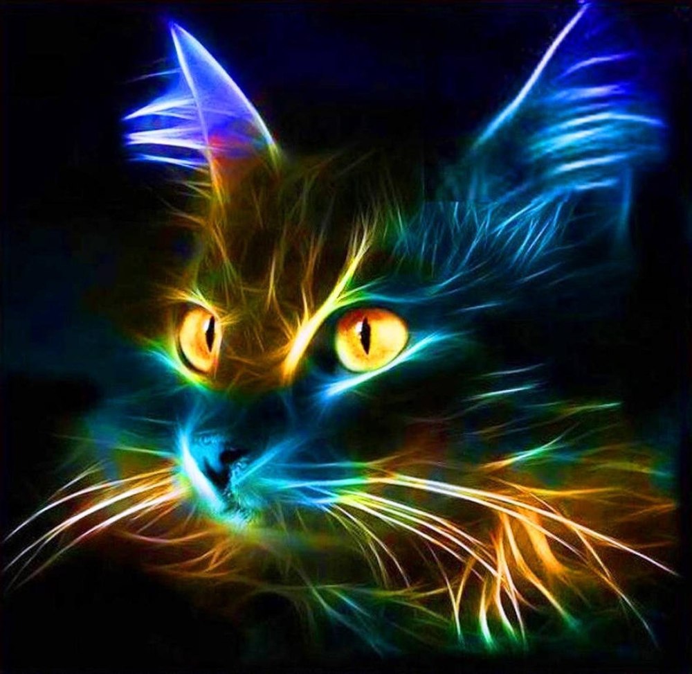 Огненный кот обои