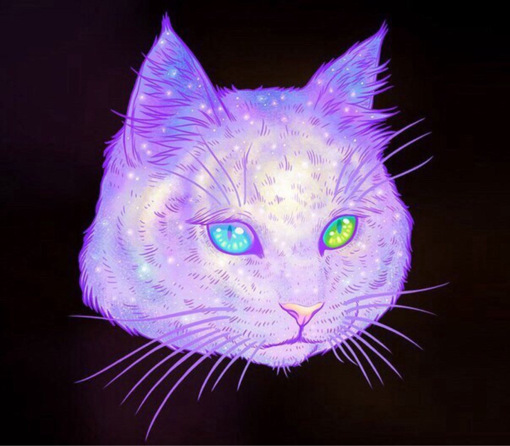 Котенок в гирлянде