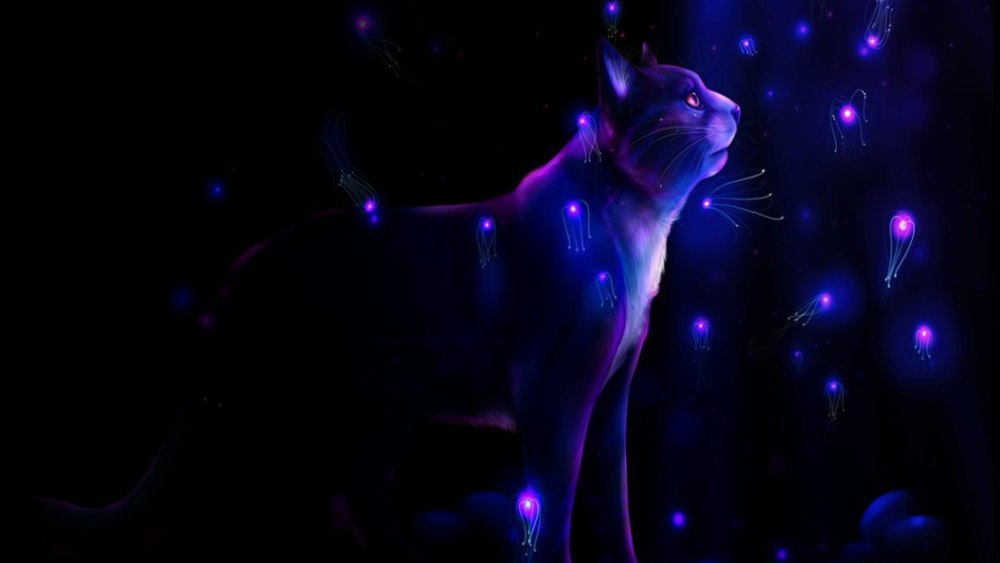 Светящиеся котики