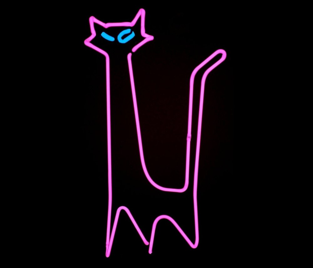 Неоновый кот
