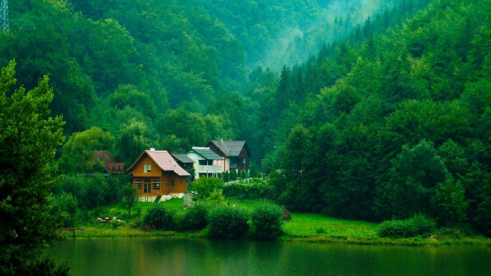 Дом в лесу у реки