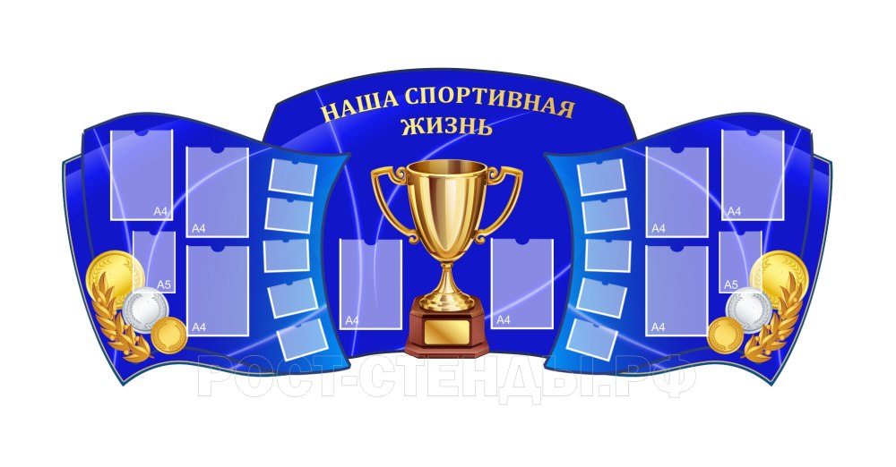 Портфолио группы
