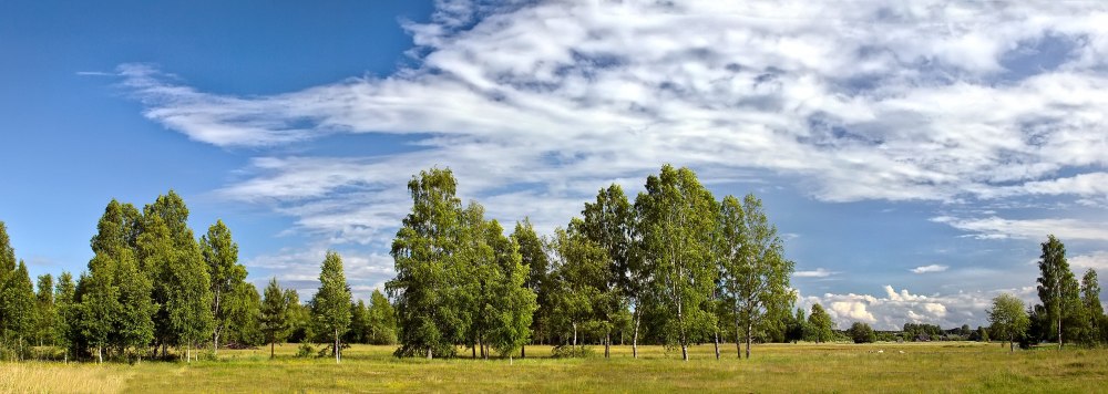 Панорама природа