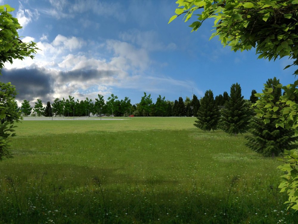 Панорама деревья