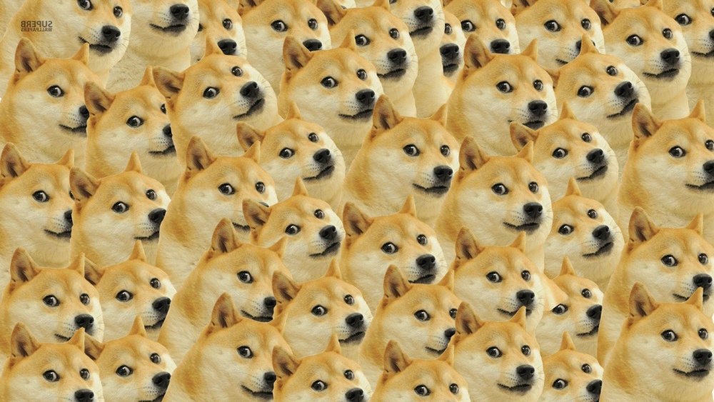 Doge 1600 VP