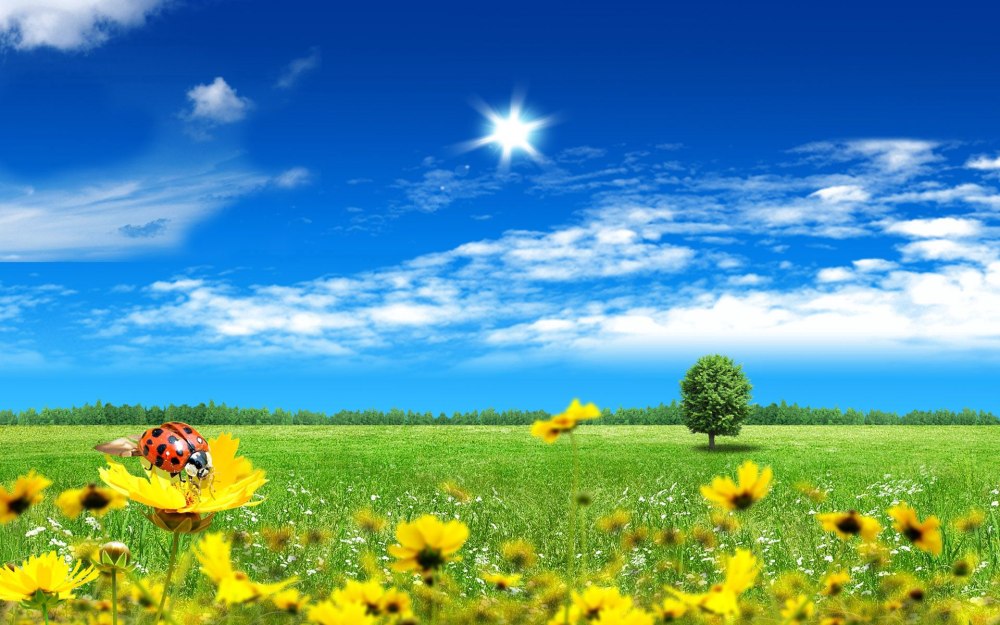 Природа цветы