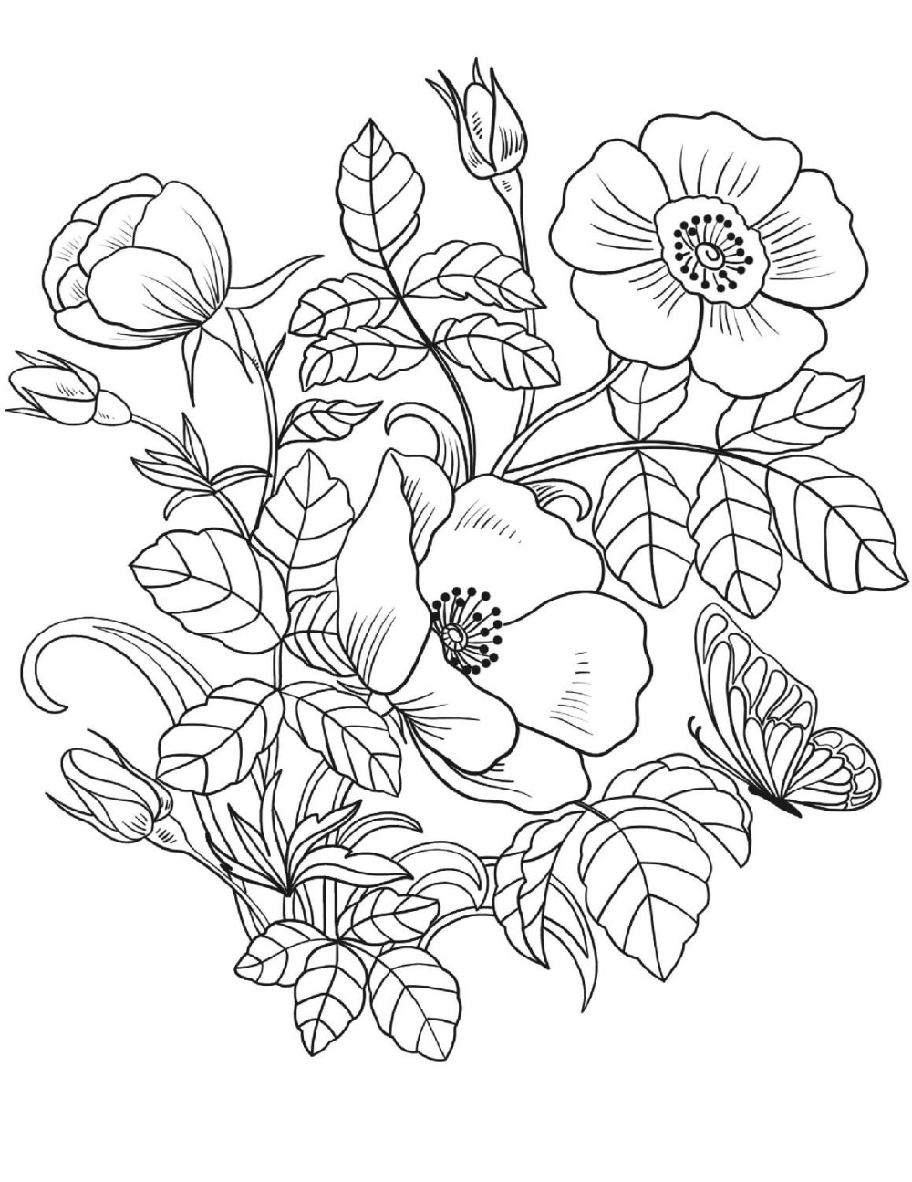 Цветы рисунок