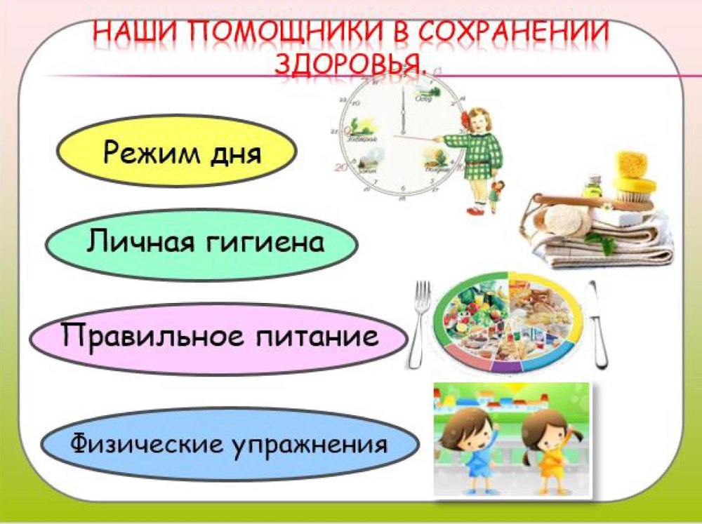 Профилактика кишечных инфекций