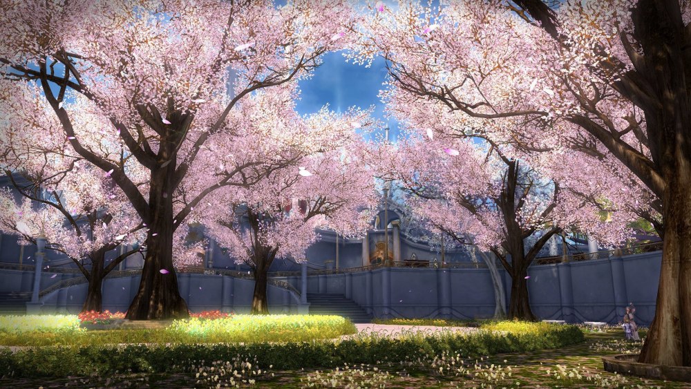 Sakura валлпаперс