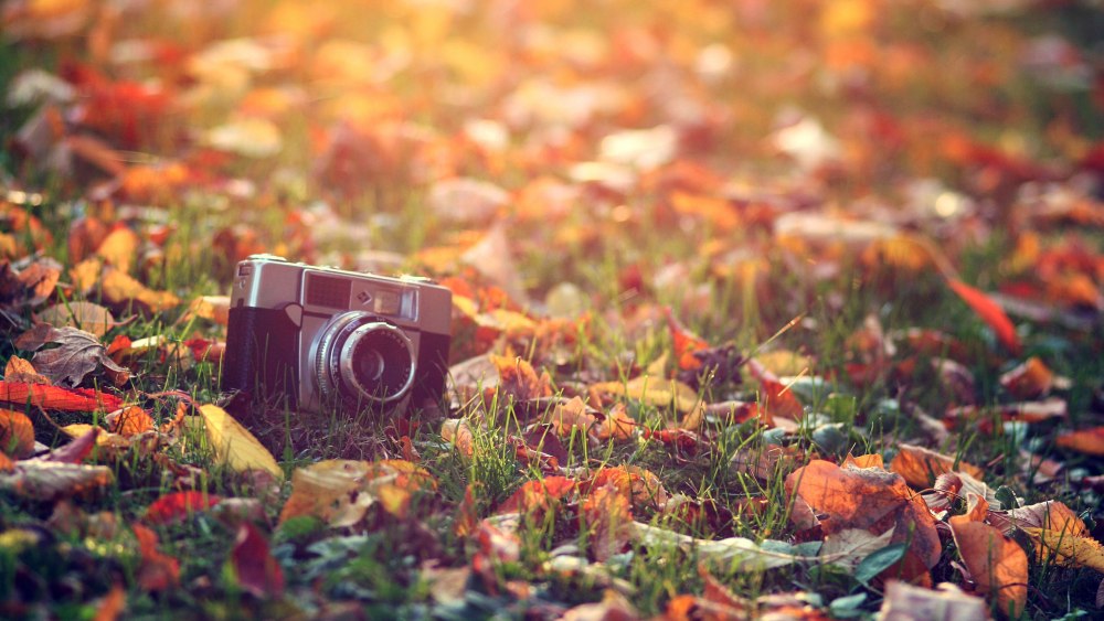 Фотоаппарат осень