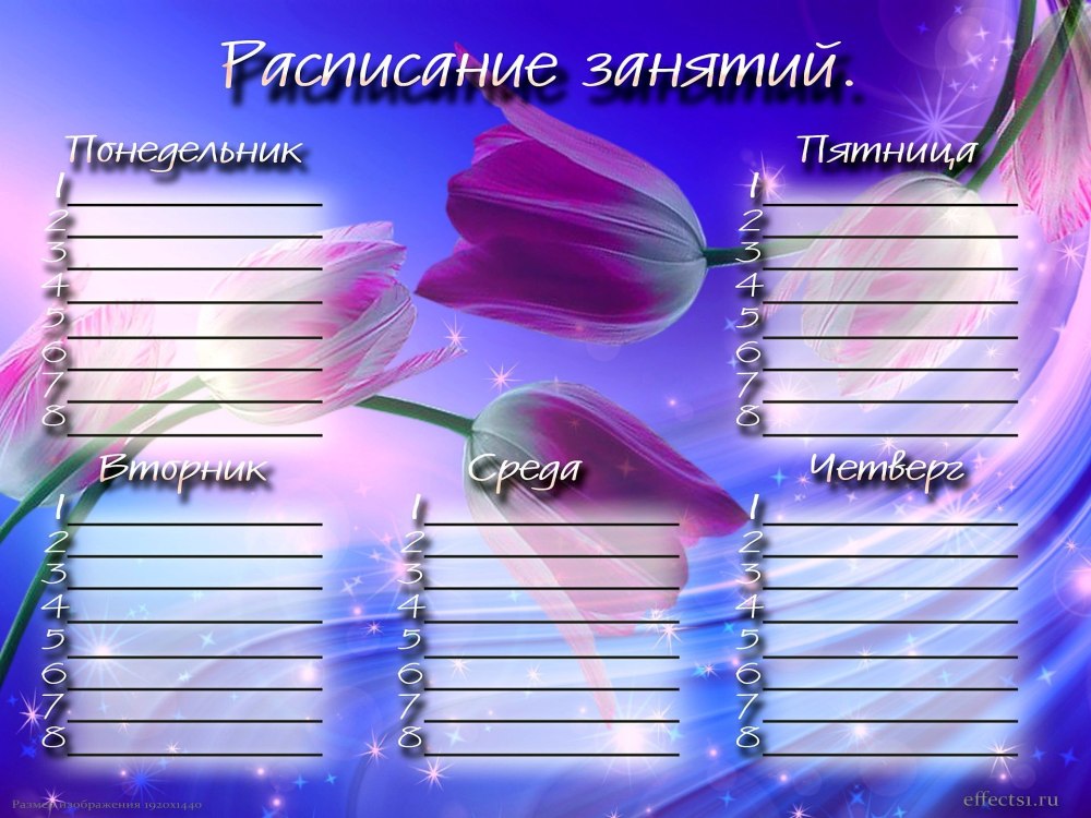 Расписание занятий