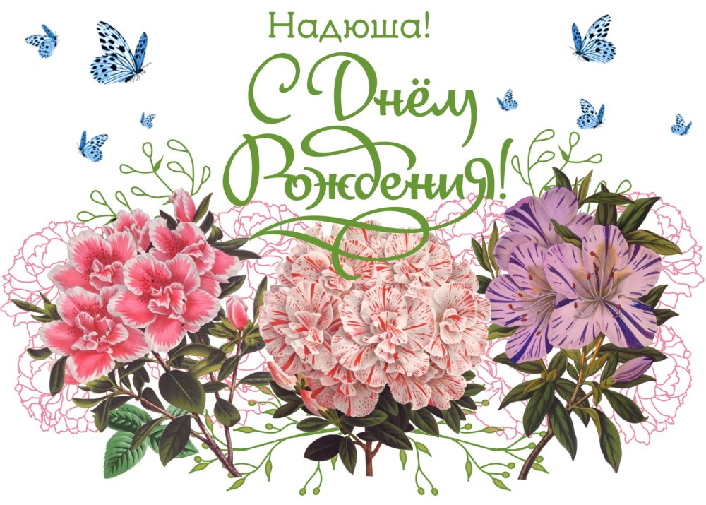 С днём рождения Ндежда