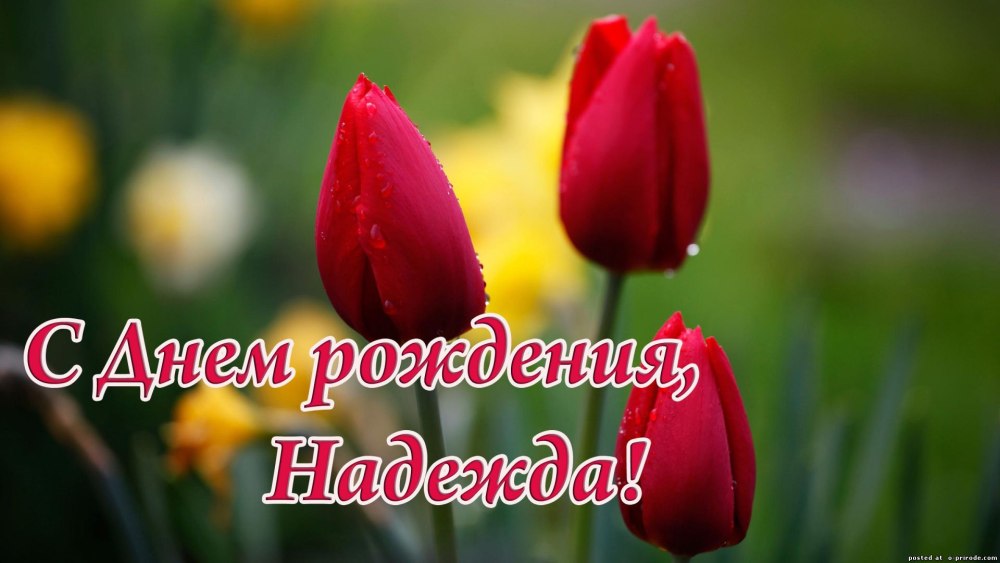 С днём рождения Надежда красивые
