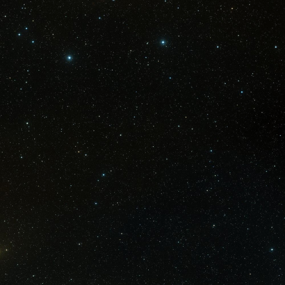 Мелотт 111