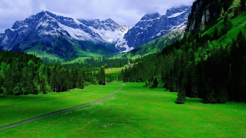 Швейцария манзаралари