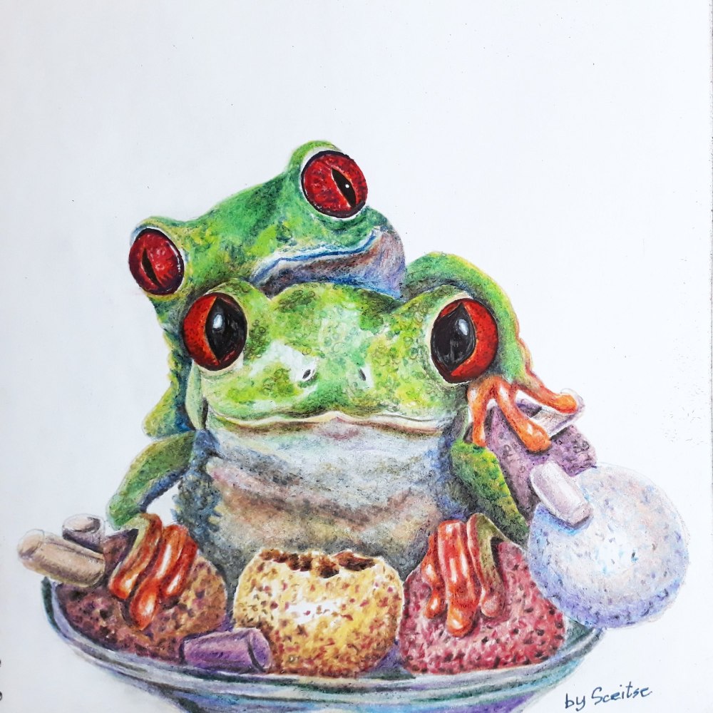 Лягушка маркерами