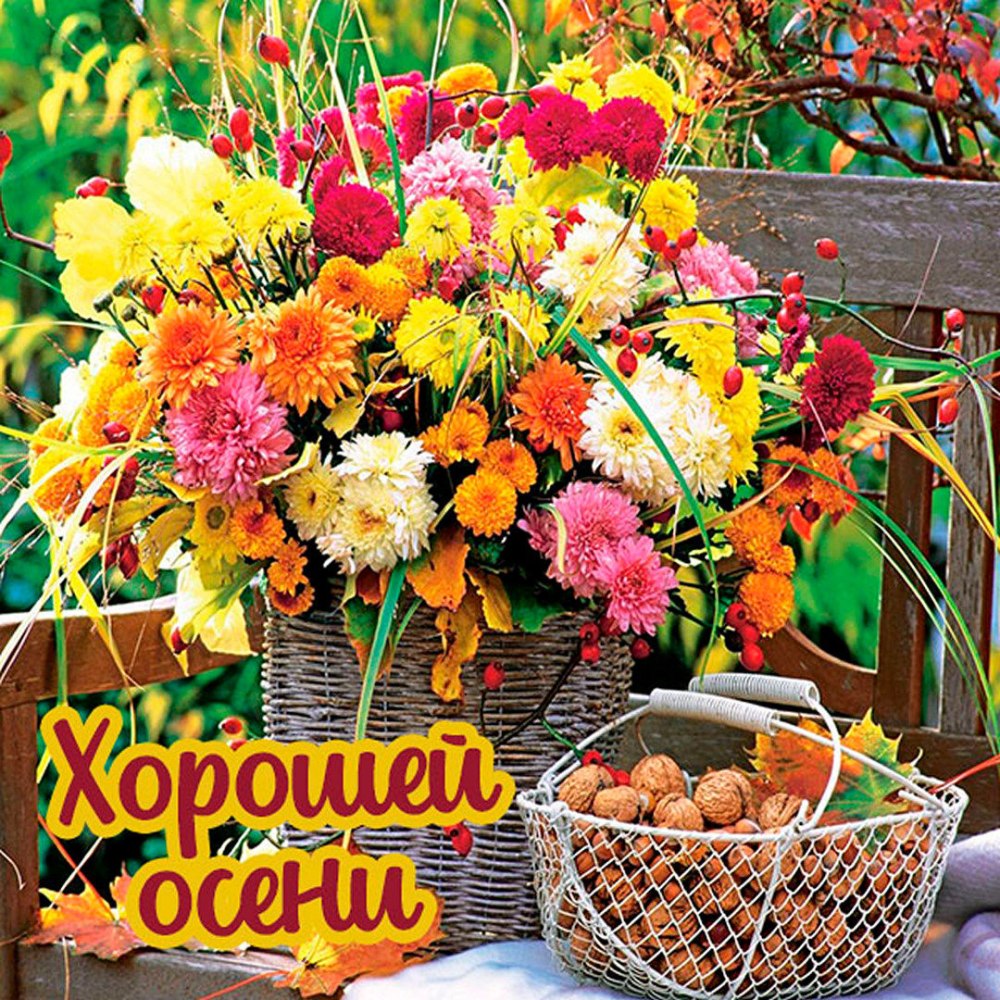 Открытки доброе утро пятница