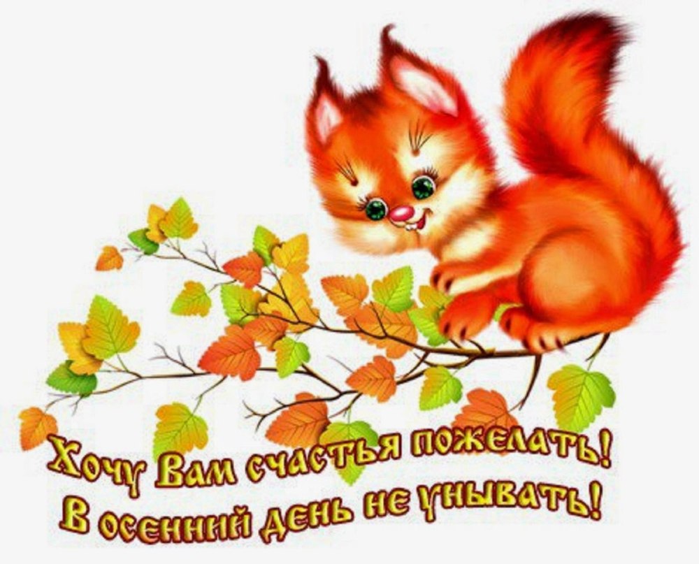 Осенние приятности
