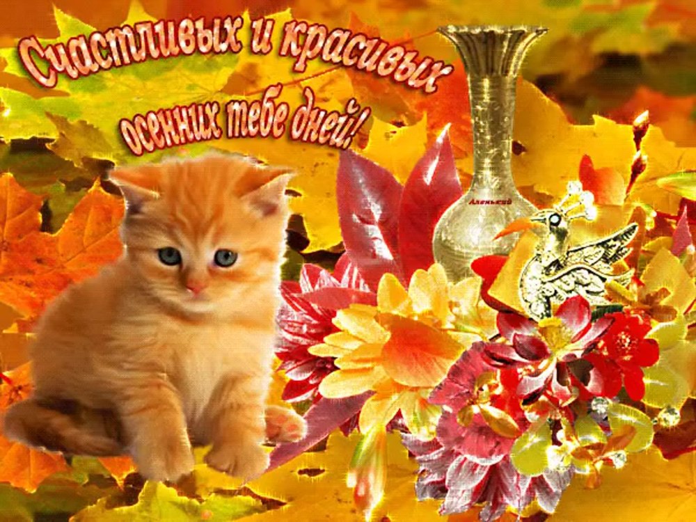 Здоровья и счастья осенью