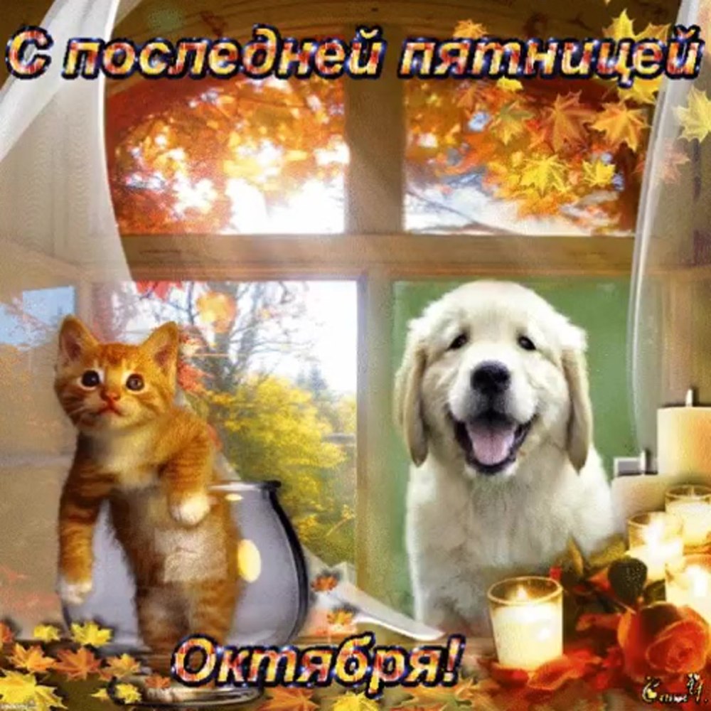 Букет осенних цветов с пожеланиями