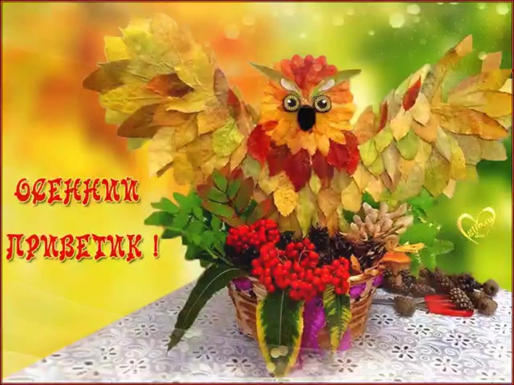 Рыжий кот