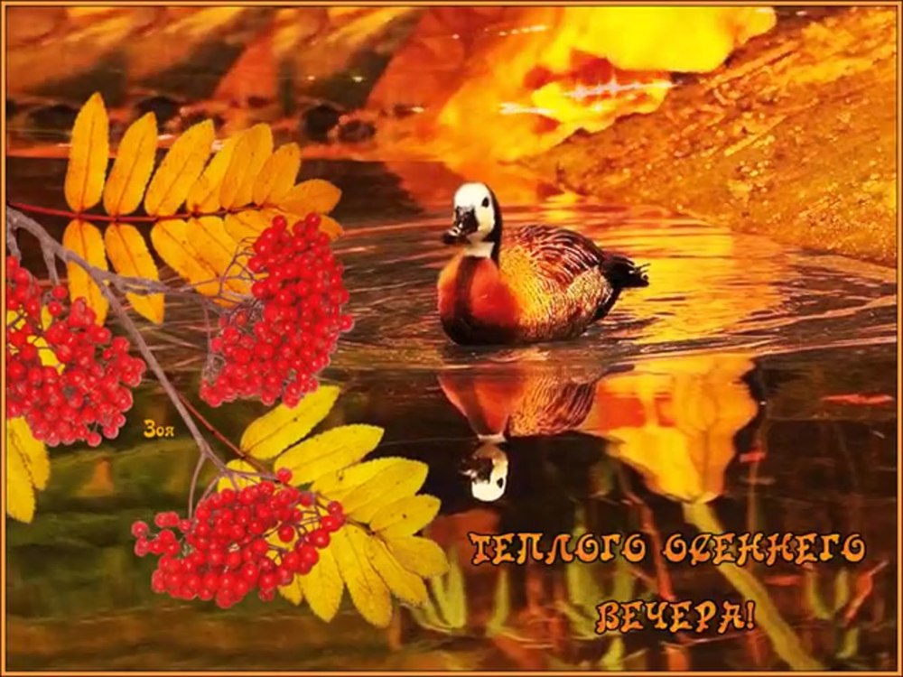 Утренний осенний натюрморт