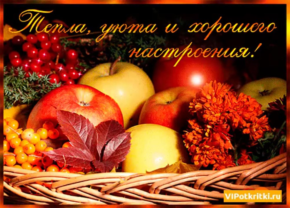 С первым днем осени котики