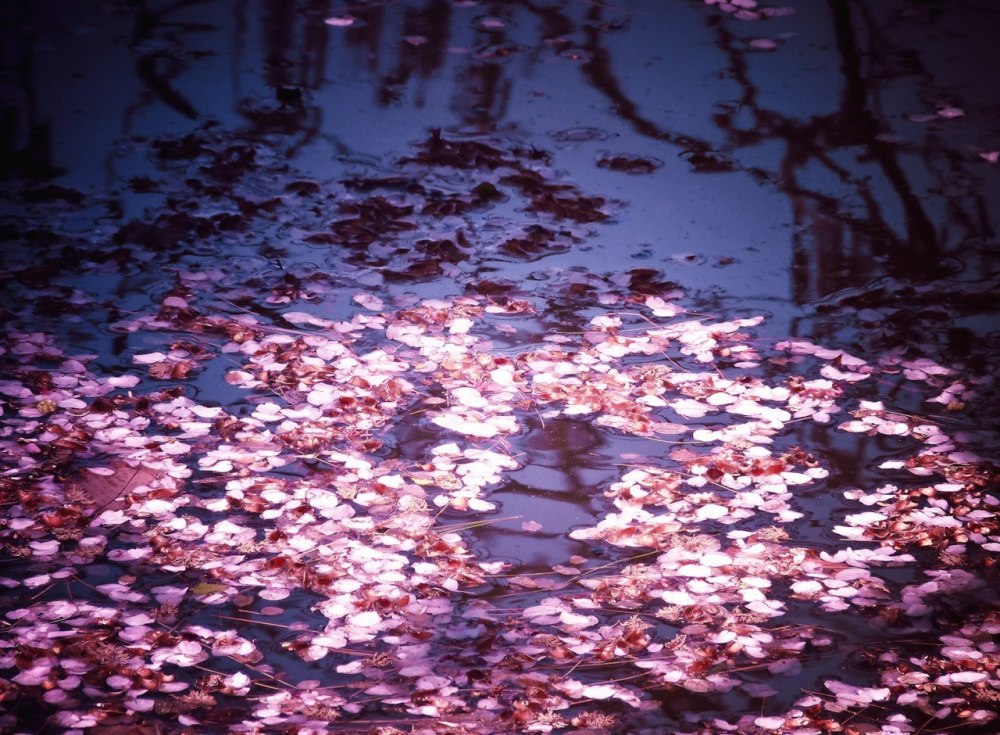 Диана Core aesthetic
