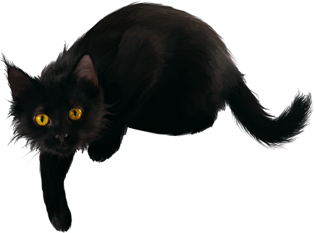 Котенок выглядывает