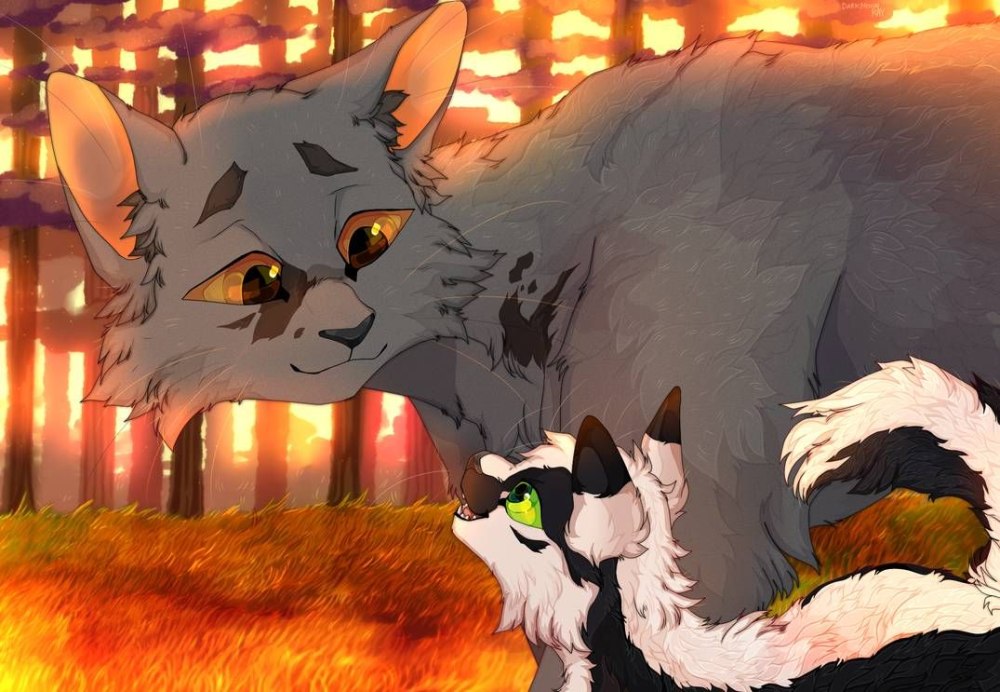 Коты Воители Warriors Cats