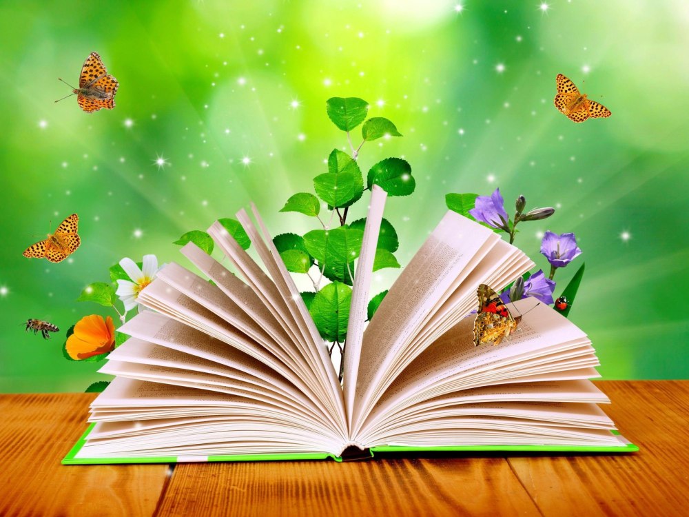 Неделя книги