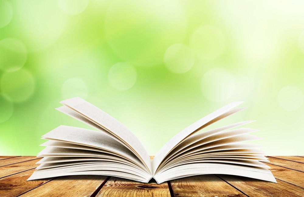 Футаж книга