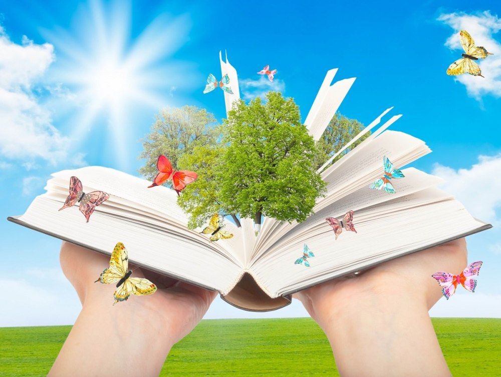 Стопка книг