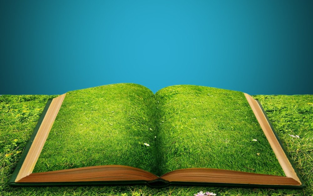 Путешествие в мир книг