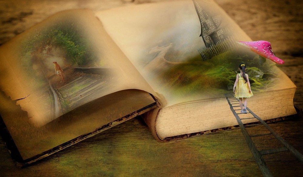 Новые книги в библиотеке