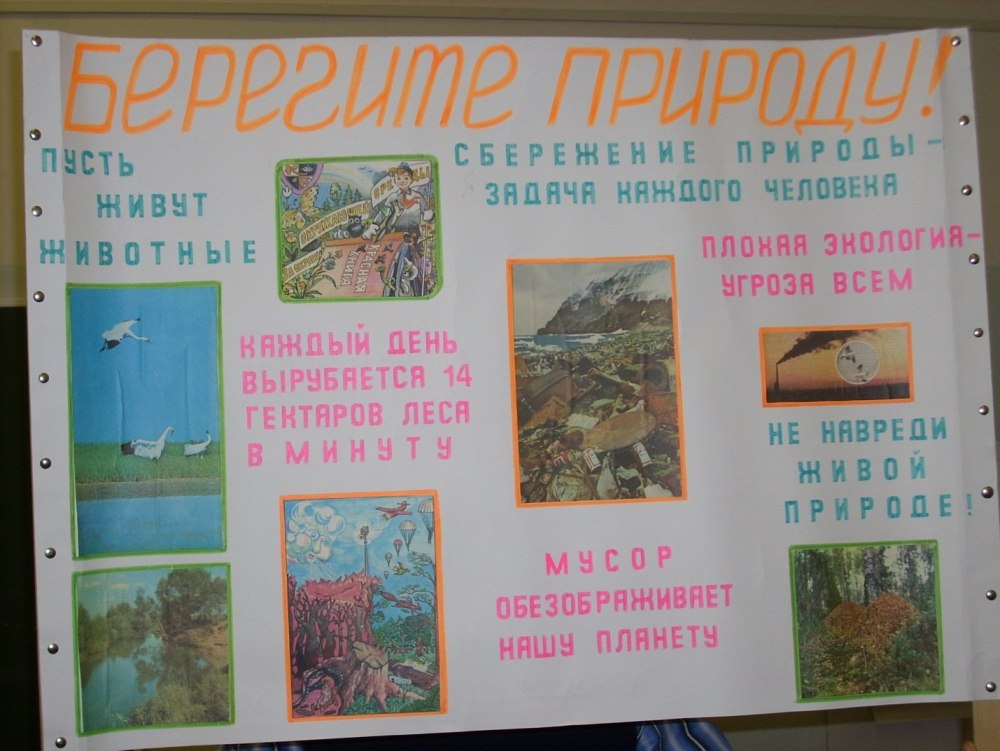Стенгазета моя малая Родина