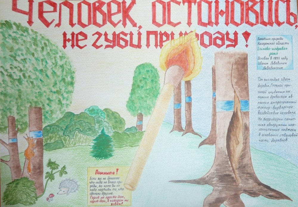 Рисунок на тему сохраним природу