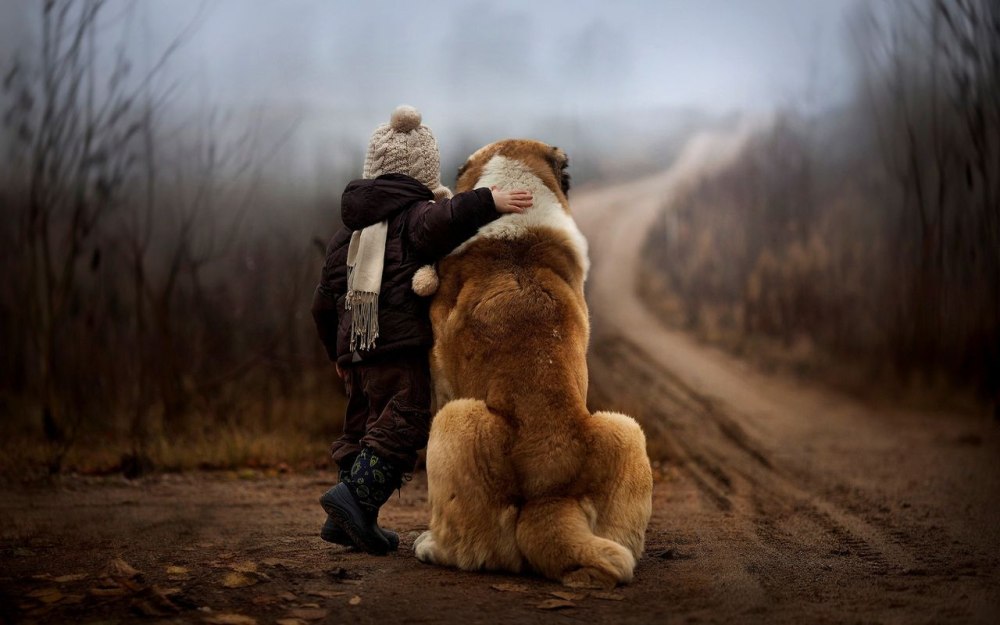 Елена Шумилова фотограф